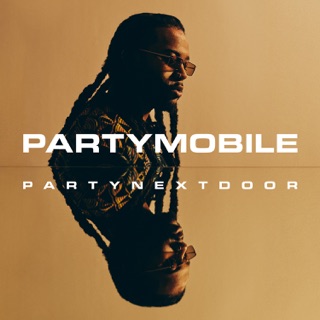کاور آهنگ BELIEVE IT [Official Lyrics Video] از PARTYNEXTDOOR & Rihanna