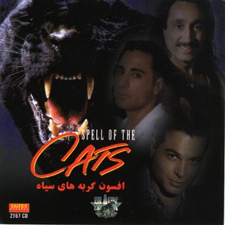 کاور آهنگ Another Chance (Orginal Mix) [Inner Symphony] از Black Cats