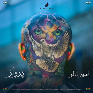 کاور آهنگ Parvaz امیر تتلو - پرواز.mp3 از Amir Tataloo