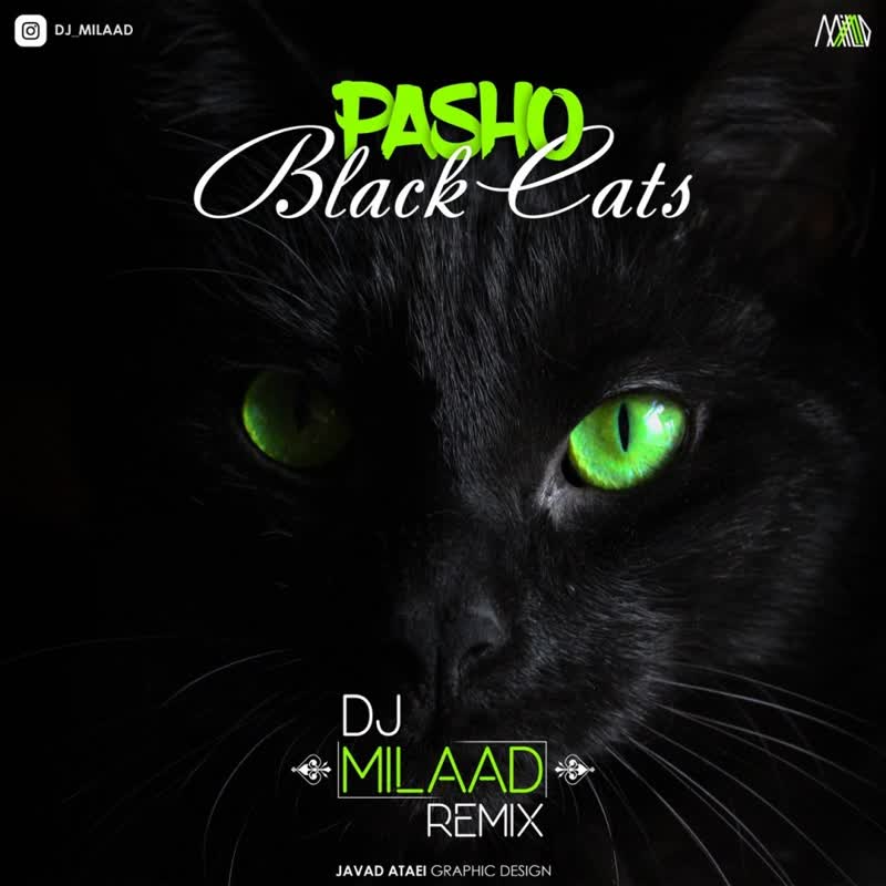کاور آهنگ Pasho Dj Milaad Remix از Black Cats