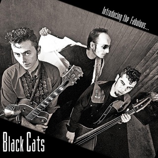 کاور آهنگ Rockabilly bike از Black Cats