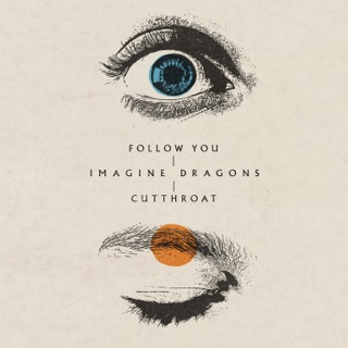 کاور آهنگ Follow You (Official Music Video) از Imagine Dragons