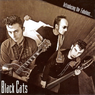 کاور آهنگ Made in England از Black Cats