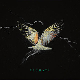 کاور آهنگ Tanhayi از Mehyad