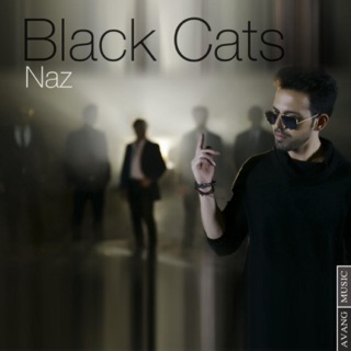 کاور آهنگ Black Cats- Dokhtare Iruni Ke Naz O Delbari از Black Cats
