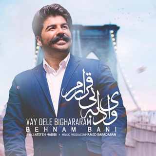 کاور آهنگ Vay Dele Bighararam از Behnam Bani