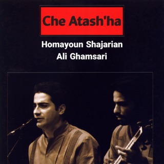 کاور آهنگ Tasnife Delam Delam از Mohammad Reza Shajarian