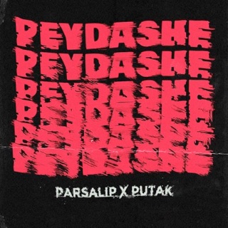 کاور آهنگ parsalip (Ft Purya Putak) از Parsalip