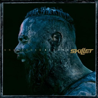 کاور آهنگ The Resistance از Skillet