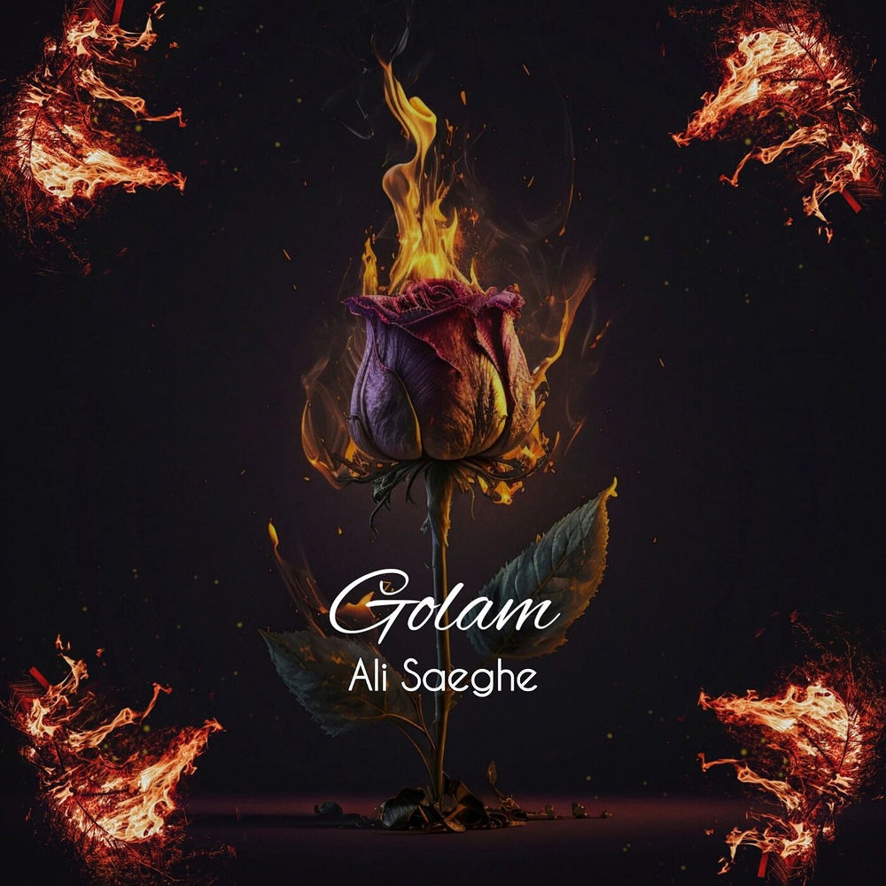کاور آهنگ Nemikham Nasihat Konam از Ali Saeghe