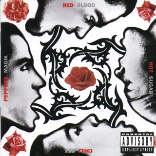 کاور آهنگ Under the Bridge از Red Hot Chili Peppers