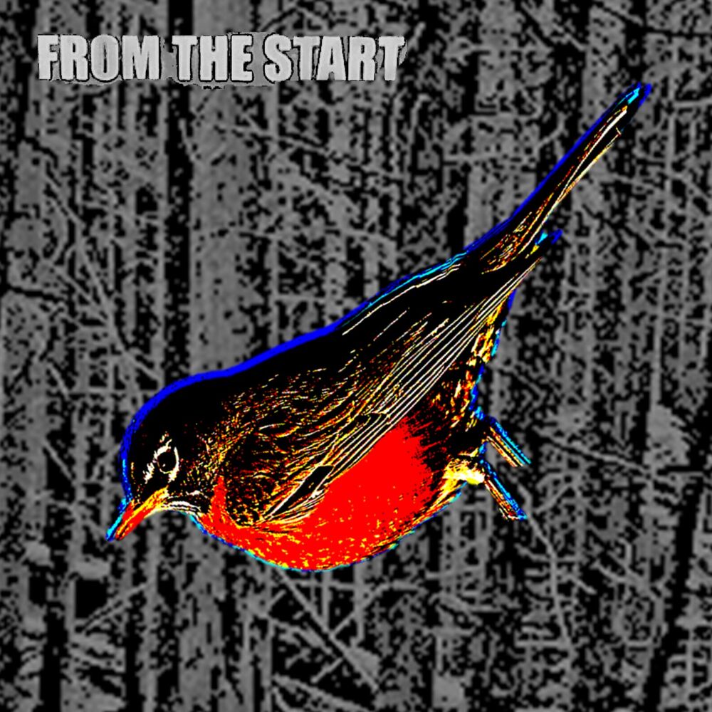 کاور آهنگ From The Start (Nightcore) از from the start