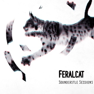 کاور آهنگ House of Balloons/Glass Table Girls از Feralcat and the Wild