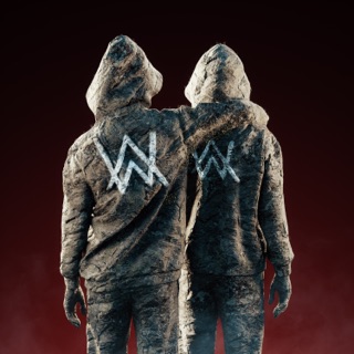 کاور آهنگ Hero (Official Music Video) از Alan Walker