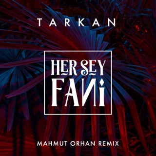 کاور آهنگ Her Şey Fani (Mahmut Orhan Remix) از Tarkan
