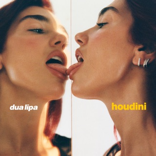 کاور آهنگ Houdini از Dua Lipa