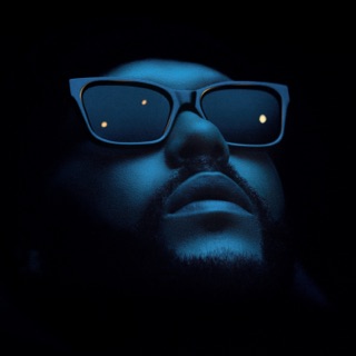 کاور آهنگ Moth To A Flame (Moojo Remix) از Swedish House Mafia & The Weeknd
