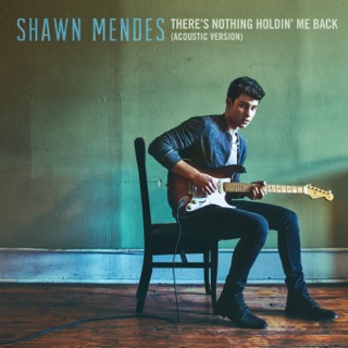 کاور آهنگ There's Nothing Holdin' Me Back (Acoustic) از Shawn Mendes
