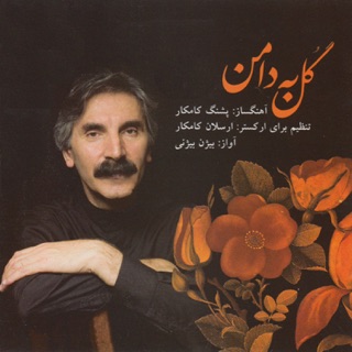 کاور آهنگ Risheh Dar Khak از Bijan Bijani