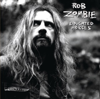 کاور آهنگ 17 Year Locust از Rob Zombie