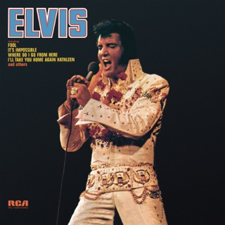 کاور آهنگ Always on My Mind از Elvis Presley