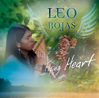 کاور آهنگ Flying Heart از Leo Rojas