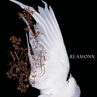 کاور آهنگ Sometimes از Reamonn
