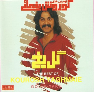 کاور آهنگ Leila (Leila) از Kourosh Yaghmaei