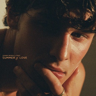 کاور آهنگ Summer Of Love از Shawn Mendes & Tainy
