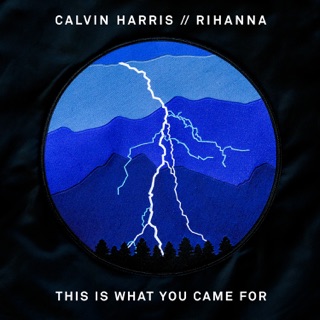 کاور آهنگ This Is What You Came For (Official Video) از Calvin Harris & Rihanna