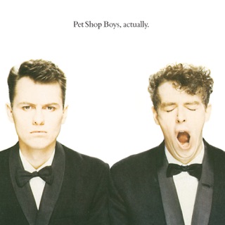 کاور آهنگ What Have I Done to Deserve This? (with Dusty Springfield) از Pet Shop Boys