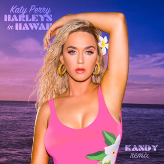 کاور آهنگ Harleys In Hawaii (Official) از Katy Perry