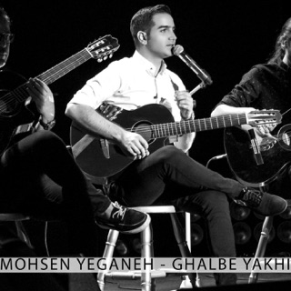 کاور آهنگ Ghalbe Yakhi ( MUSIC IS MY LIFE ) از Mohsen Yeganeh