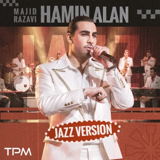 کاور آهنگ Hamin Alan Guitar Version از Majid Razavi