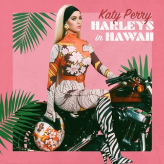 کاور آهنگ Harleys in Hawaii از Katy Perry