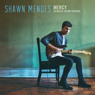کاور آهنگ Mercy (Acoustic Guitar) از Shawn Mendes