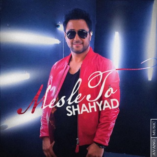 کاور آهنگ Mesle To از Shahyad