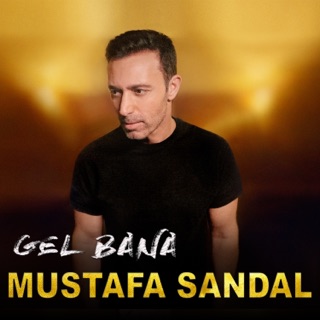 کاور آهنگ Reset از Mustafa Sandal