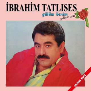 کاور آهنگ Yıkılmışım Ben از İbrahim Tatlıses