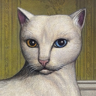کاور آهنگ Cats از Mitski
