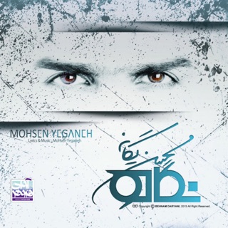 کاور آهنگ The Bird از Mohsen Yeganeh