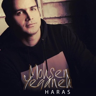 کاور آهنگ Nadaramet از Mohsen Yeganeh