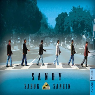 کاور آهنگ Beni از Sandy