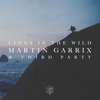 کاور آهنگ Lions In The Wild از Martin Garrix