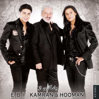 کاور آهنگ Ebi (Nami Remix 2022) از Ebi
