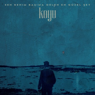 کاور آهنگ Sen Benim Başıma Gelen En Güzel Şey از Unknown