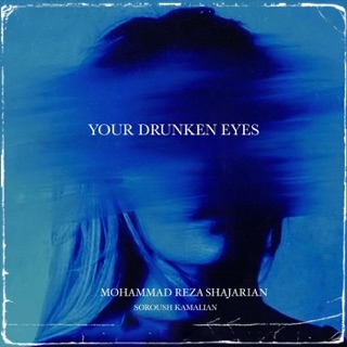 کاور آهنگ Meditation از Soroush Kamalian & Mohammad-Reza Shajarian