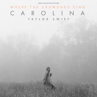 کاور آهنگ Carolina (From the Motion Picture "Where The Crawdads Sing") (Originally by Taylor Swift) از Taylor Swift