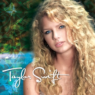 کاور آهنگ Should've Said No از Taylor Swift