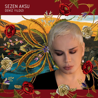 کاور آهنگ sezen aksu .yol arkadaşım. از Sezen Aksu